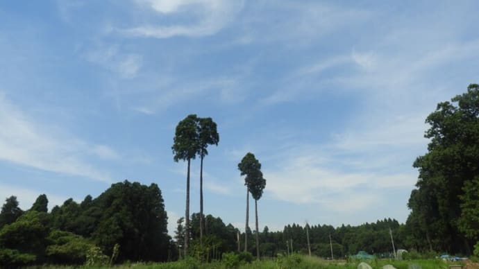 北海道のお土産 と いつもの晩ご飯だよ。