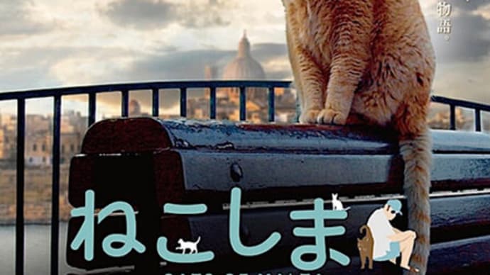 ねこしま@ねこ友会
