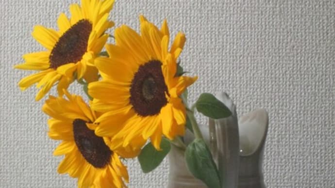 ひまわり3続き