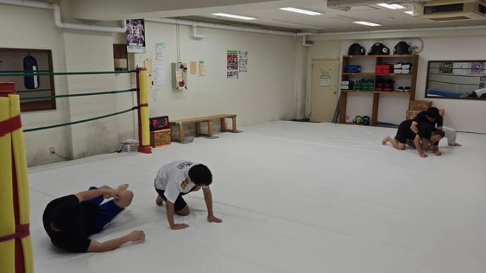 (水)グラップリング初級クラス19:30〜