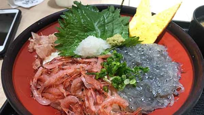 「駿河丸 静岡SA店」の生白子と桜海老の「しずまえ丼」！ 