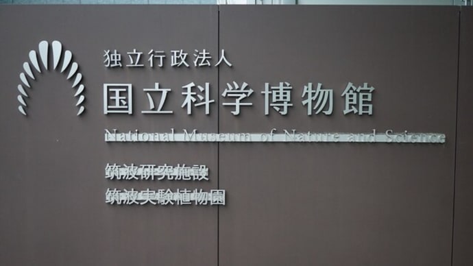 国立科学博物館:自然史標本棟:見学スペース