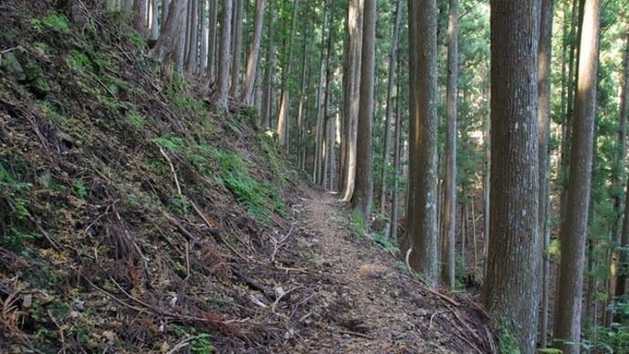 秋色の川上村へ Ⅱ