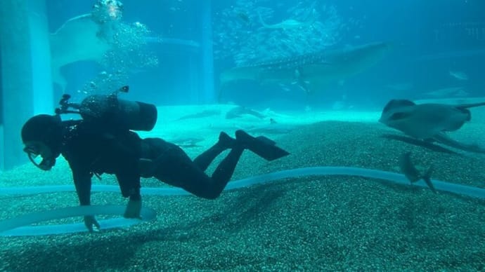17年ぶりに「海遊館」に行ってきました・・ 後編