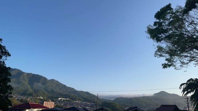 雨上がりの新緑と萌ゆる草花🌿