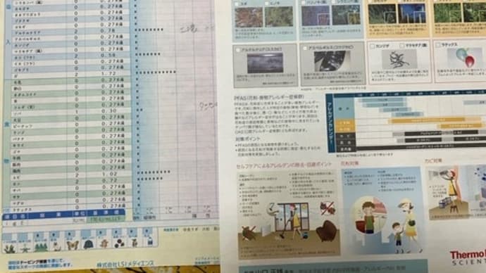 アレルギー検査の備忘録