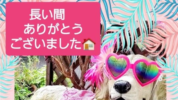 🏡 今まで。。。本当にありがとぅございました💝 🐕