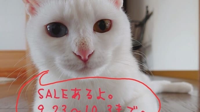 年に一度…しか出来なくてごめんね。