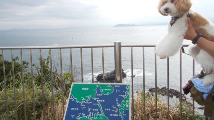 蔵旅 <四国☆犬旅> 2018/9月