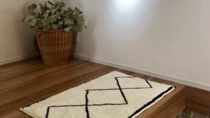 玄関には壁手すり