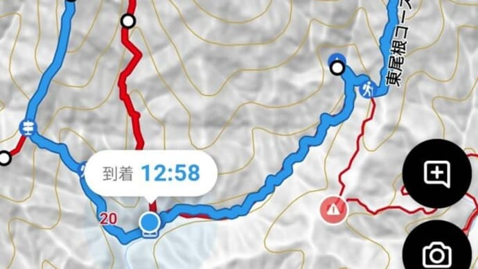 花の横山岳 No306