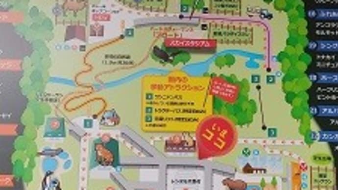 那須どうぶつ王国エンジョイブログ②【2024年・栃木那須旅行】