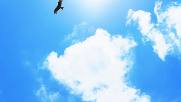 大空を飛びたい