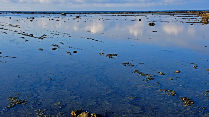 カテゴリー「男鹿半島11~2月」の目次