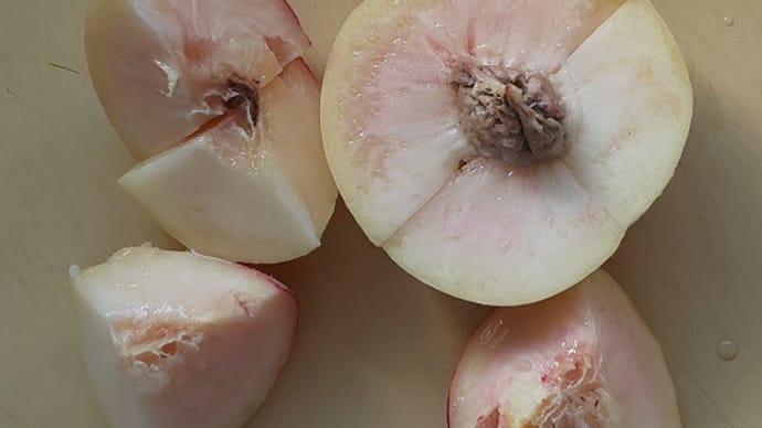 尿管結石、コロナワクチン