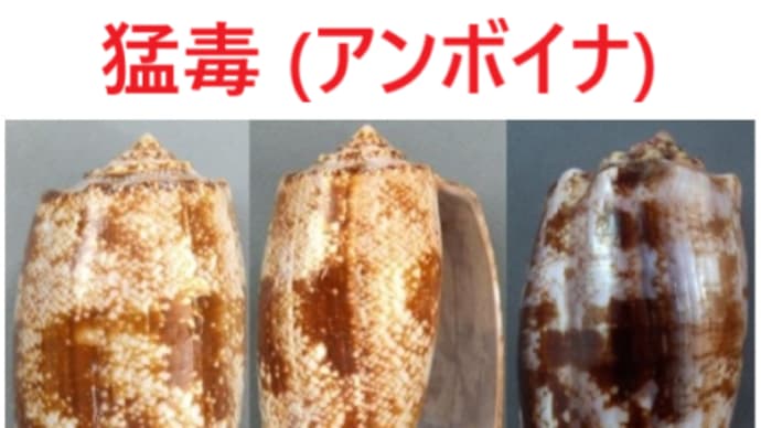 石川善一:回覧板1(注意)