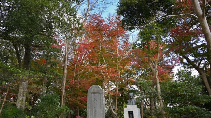 ◆「十枝の森」の紅葉(大網白里市)