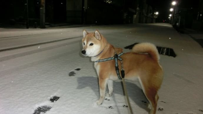今日の二十八宿とコトバと今朝の雪景色