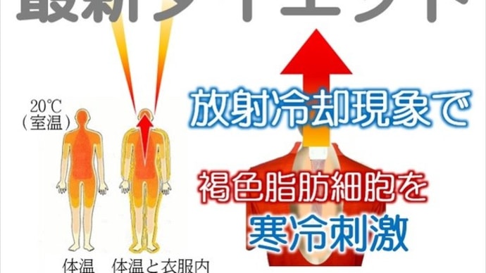 散歩に30分痩せるインナー着けると有酸素運動80分と同じ効果が!