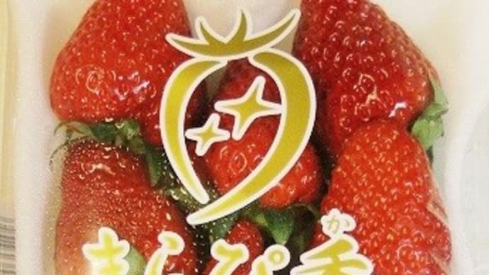 きらぴ香♪