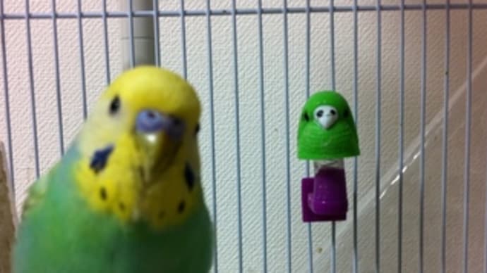 最近のライ