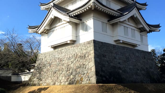 お得な切符『青春18きっぷ』の旅 2016冬(埼玉篇その2 関東七名城「忍城」 )