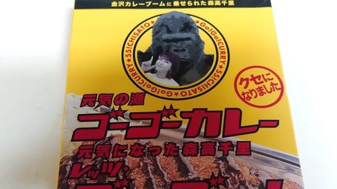 元気の源 ゴーゴーカレー 元気になった森高千里