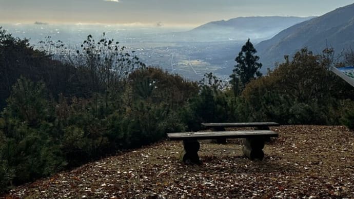 真禅院(朝倉山)と一心寺(城台山)の紅葉 24.12.2