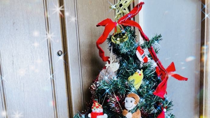 見納めツリー飾る🎄