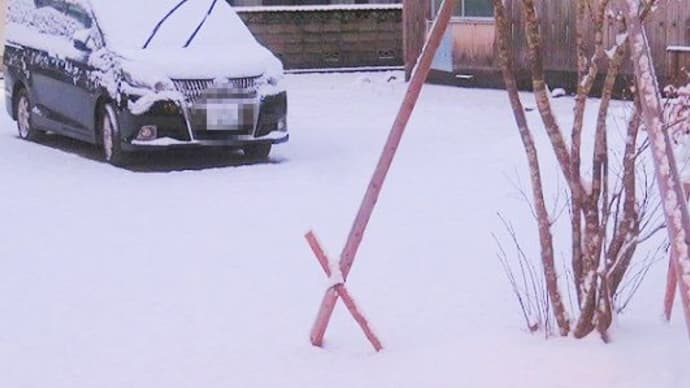 この週末は・・・