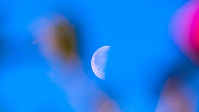 日の出後に撮った下弦の月（２月）