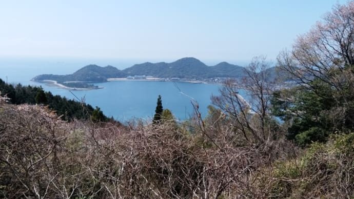 多賀神社の管理