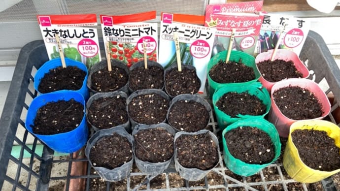 《家庭菜園》夏野菜たち【種まき】(21/03/13)