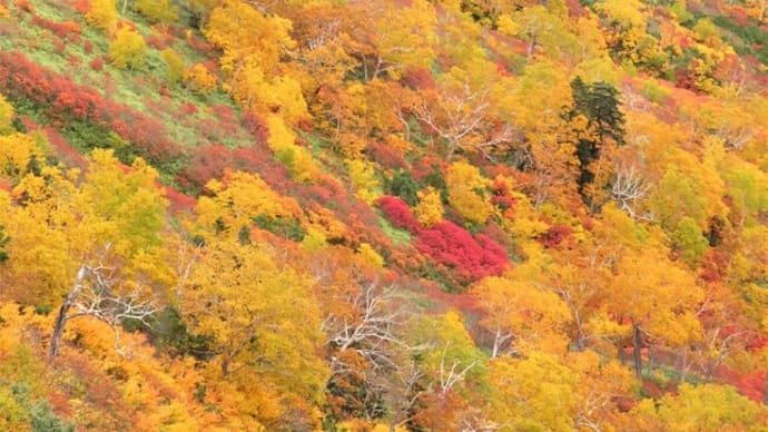 銀泉台から赤岳登山