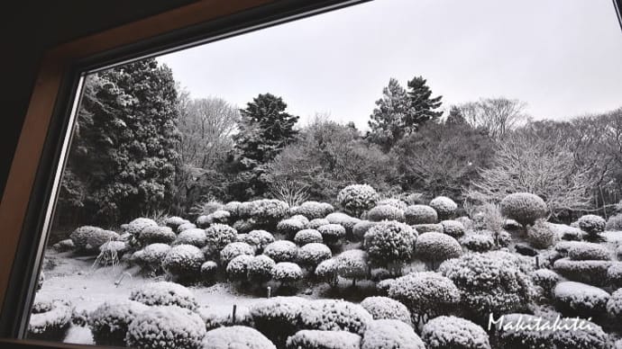 ピクチャーウインドウの景色とどうでもよいこと?