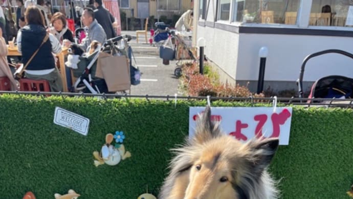 ちょびマルシェ