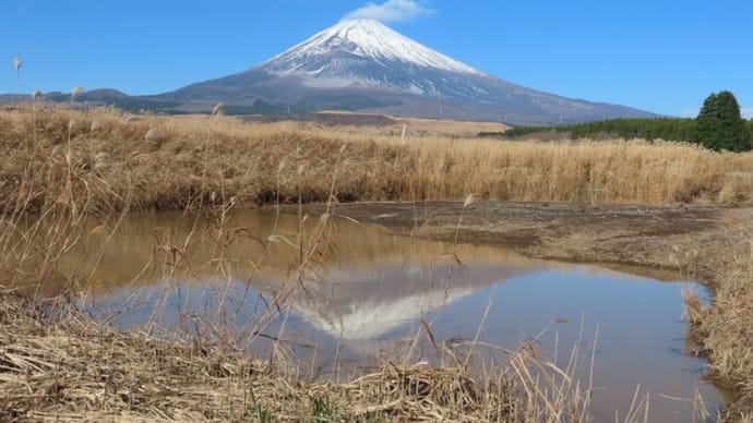 今日の私…