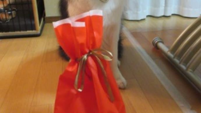 Aのクリスマス2024