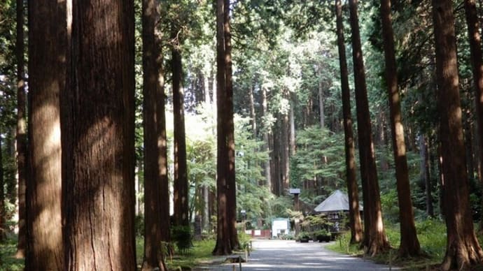秩父宮記念公園 秋の花々