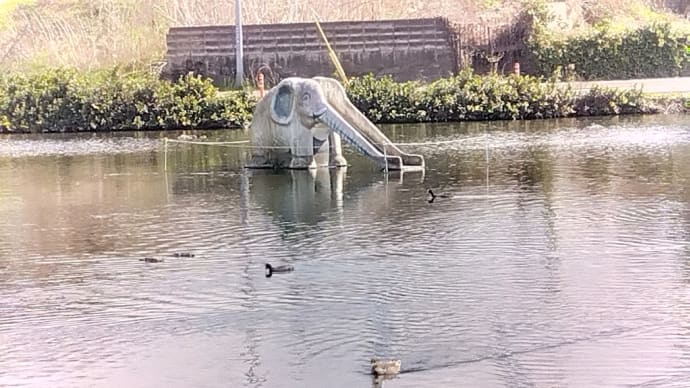 上江津湖公園⛲ ゾウさんプール🐘