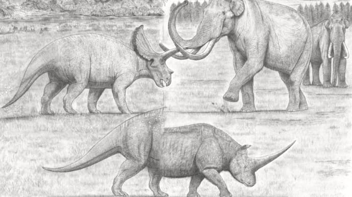 『竜王と獣王・10トン級マンモスと角竜類』 'The Greatest Herbivores Showdown' 投票結果
