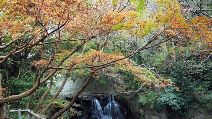 ・ まさかりが淵　紅葉　２０２０