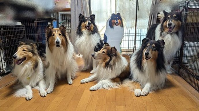 うめ子会