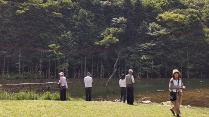 6月の吟行会はどこでしょう?
