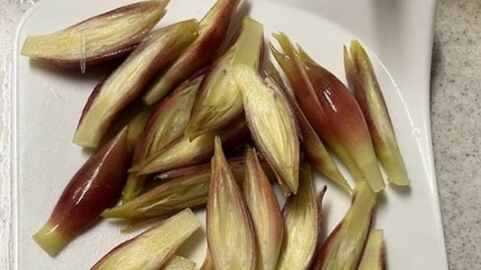 作り置きおかず