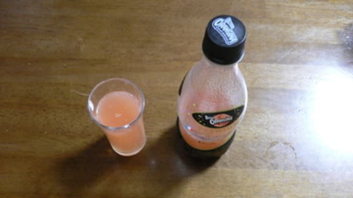 ブラッドオランジーナを飲むのです