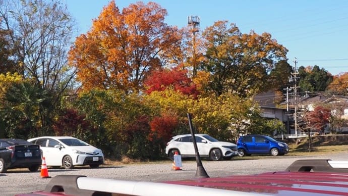 永保寺の紅葉、お見事! 多治見