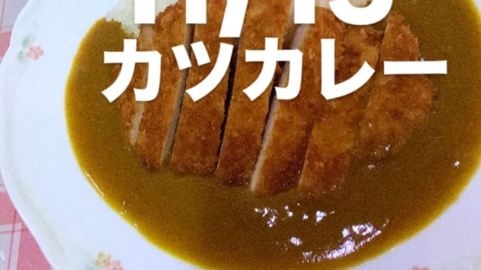 令和6年11月15日の日替わり定食(800円)は、リクエストで カツカレーです