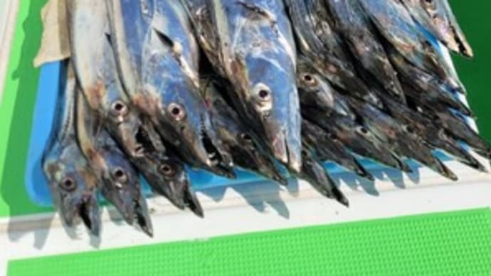 ショートタチウオ船