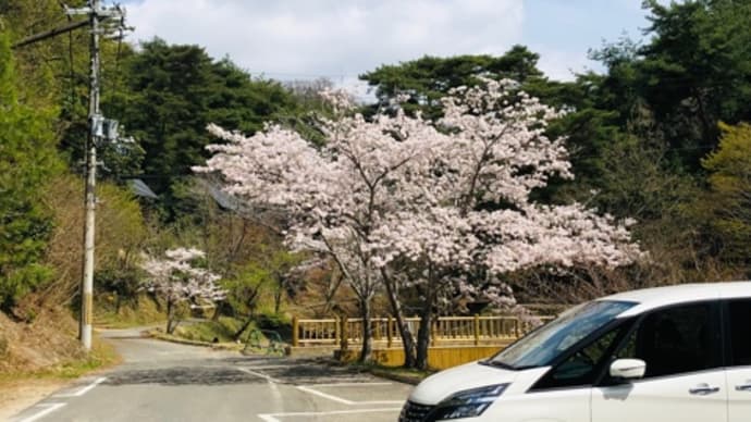 息子とBBQ 山城森林公園